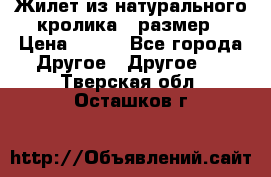 Жилет из натурального кролика,44размер › Цена ­ 500 - Все города Другое » Другое   . Тверская обл.,Осташков г.